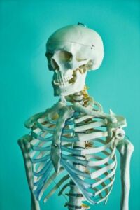 Bone Health in Seniors https://greatseniorhealth.com
